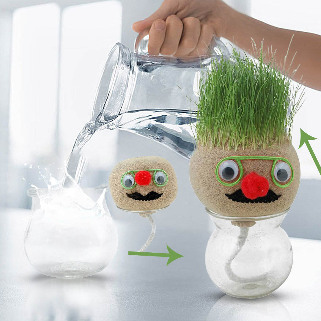 Mr. GrassHead | Fun Growing Grass | Buy 3 & Get a Mystery Gift π