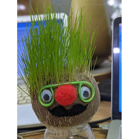 Mr. Grasshead | Fun DIY Growing Grass Toy for Kids | Interactive Grass Head Doll | Educational and Entertaining