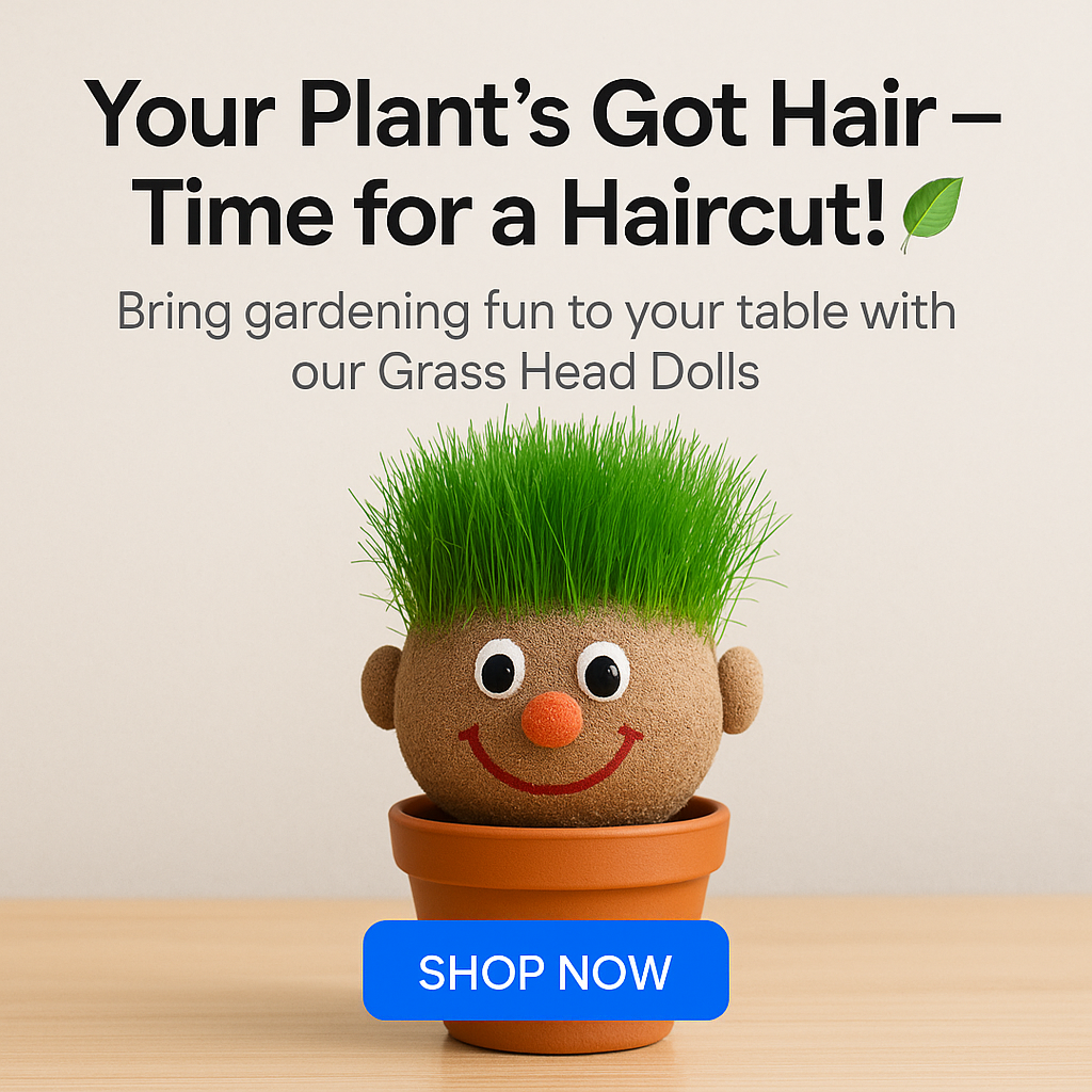 Mr. GrassHead | Fun Growing Grass | Buy 3 & Get a Mystery Gift 🎁