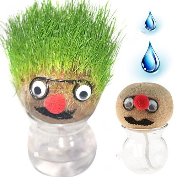DIY kit to grow funny "grass hair" on a doll. Fun for kids to watch grow, learn, and play hairdresser!