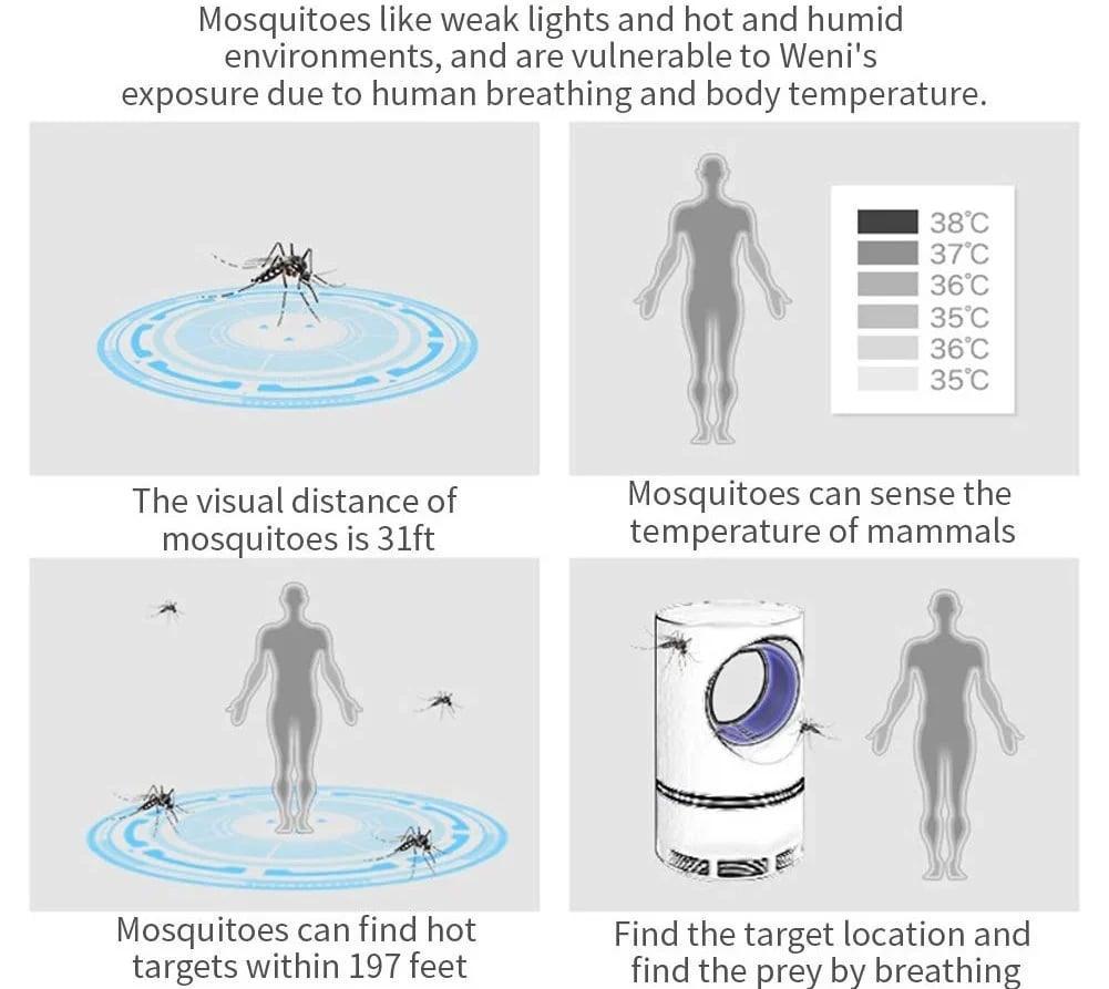 USB-powered lamp kills flies & mosquitos with a zap! Attracts them with light, then kills on contact. Safe & portable.